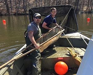 Checking nets at Echo Lake Reservoir