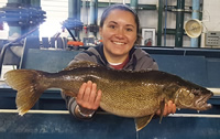 Seasonal employee with Walleye breeder