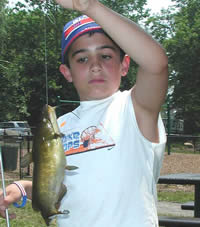 Brown Bullhead at Derby