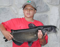 Channel Catfish