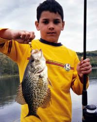 Black Crappie at Rooke Lake