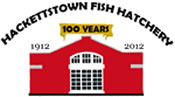 Centennial logo