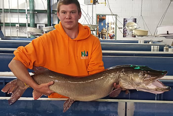 Muskie breeder in Hackettstown