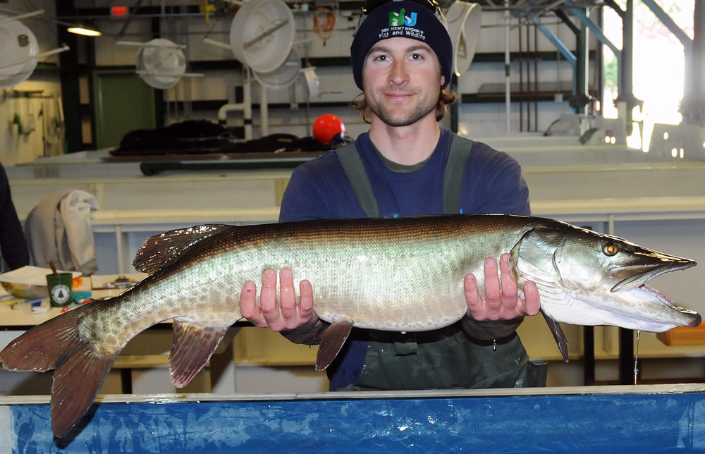 Echo Musky with The Northern Angler 