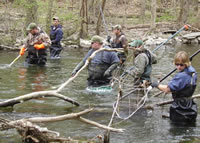 Crew electroshocking river