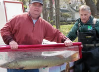 Muskie ready for release
