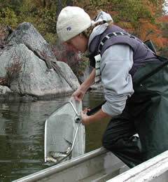 Float stocking muskies