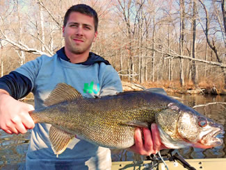 Swartswood Lake walleye make great broodstock