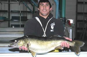 Walleye breeder