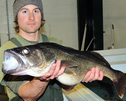 Ryan Votta holds a gorgeous breeder.