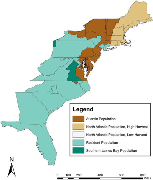 Canada goose harvest management zones in the Atlantic Flyway, 2019