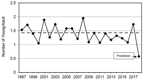 Actual number of goslings per adult captured in banding drives on Atlantic Population Canada goose breeding grounds, 1997-2017 and predicted age ratio for 2018.  Dashed line is long-term average.