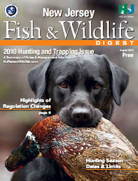 Hunting Digest Cover