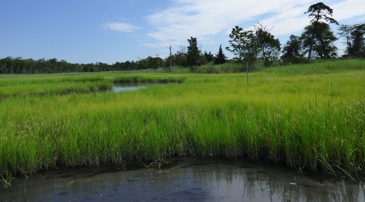 Wetlands acquired with Waterfowl Stamp proceeds