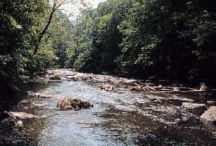 Ken Lockwood Gorge WMA