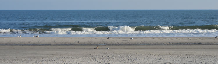 Brigantine beach