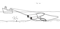 Trawl net diagram