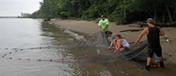 Pulling in the net