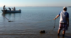 Setting the net