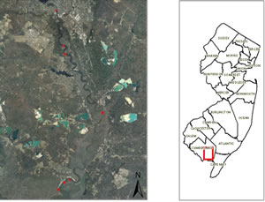 Maurice River sample site map