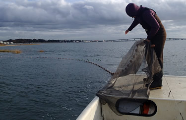 Setting the Seine Net