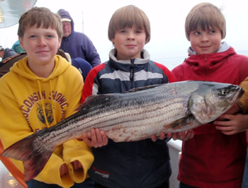 Three youths with bass