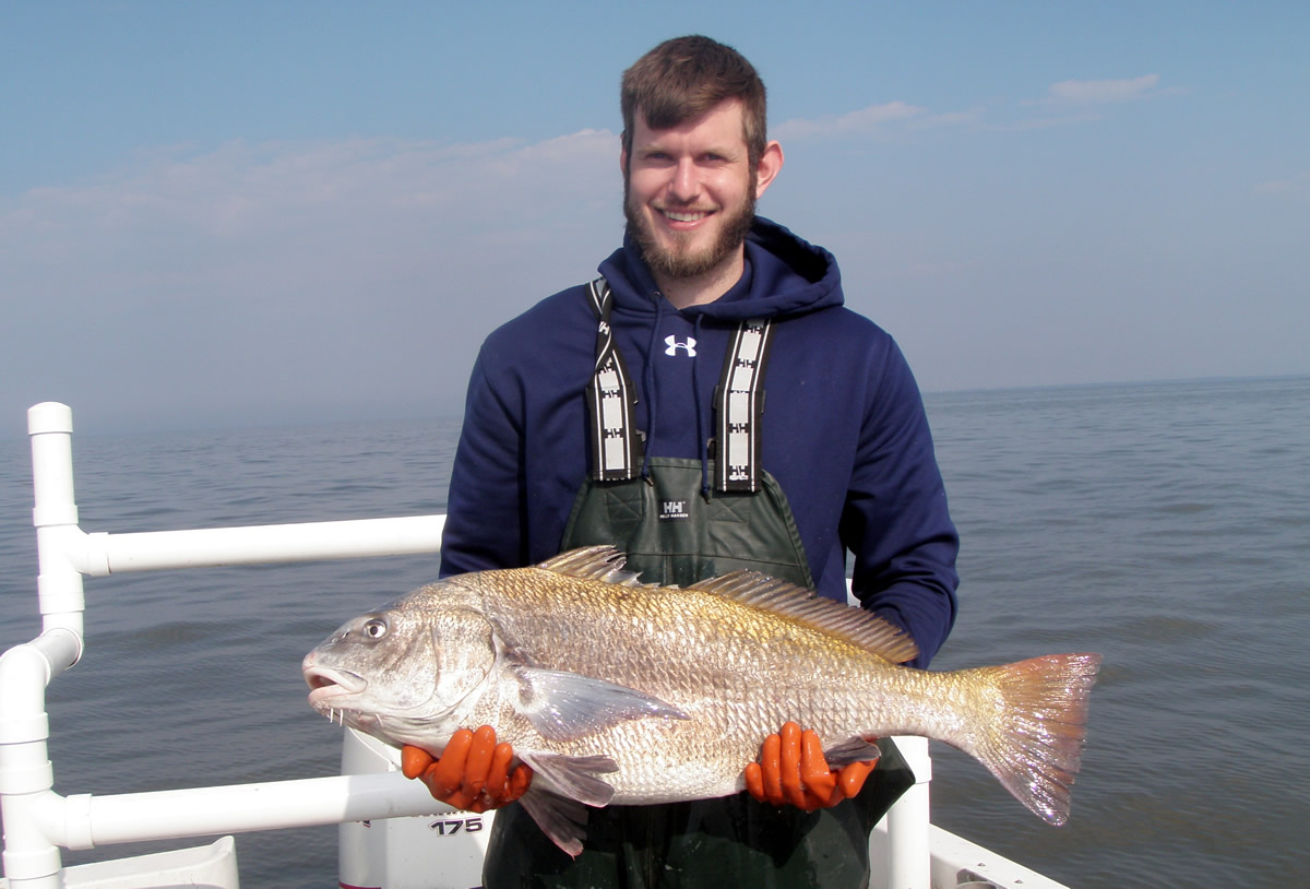 NJDEP Division of Fish & Wildlife - Drum Fish: A Profile