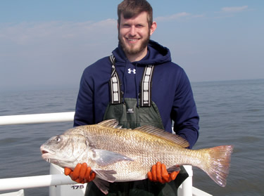 Black Drum caught in Delaware Bay