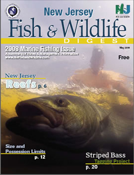 Marine Digest Cover