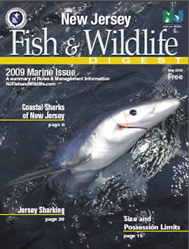 Marine Digest Cover