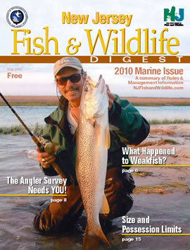 Marine Digest Cover