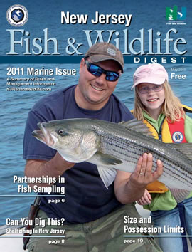 Marine Digest Cover