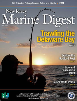 Marine Digest Cover