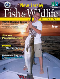 Marine Digest Cover