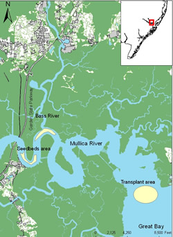 Mullica River Map