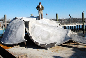 Horsehoe Crab Sculpture