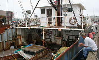 Boat for artificial reef