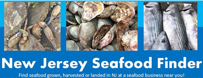 Njdep Division Of Fish Wildlife Saltwater Fishing Crabbing And Clamming In Nj