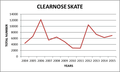 Clearnose Skate Catch Graph