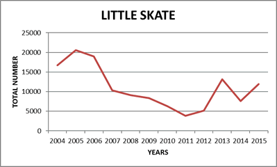 Little Skate Catch Graph