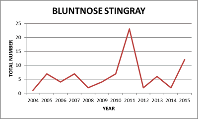 Bluntnose Stingray Catch Graph