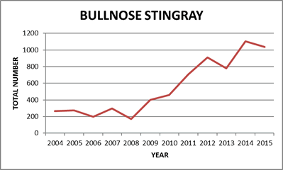 Bluntnose Stingray Catch Graph