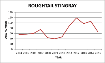 Roughtail Stingray Catch Graph