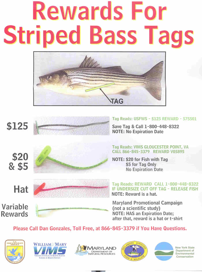 NJDEP Fish & Wildlife - Striped Bass Bonus Program