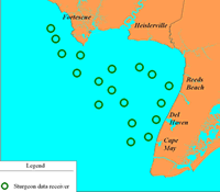 Sturgeon research bouy location chart