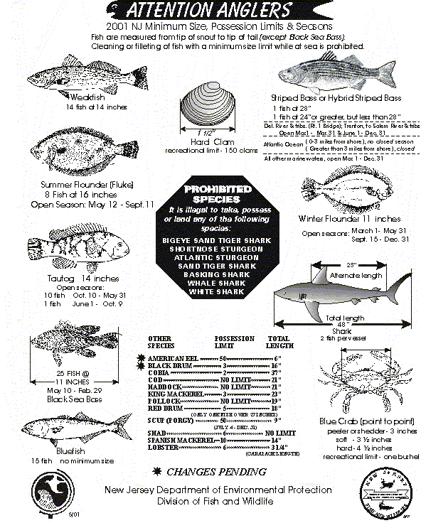 2001 Marine Minimum Size, Possession Limits and Seasons