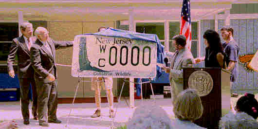 License Plate introduced