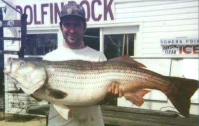 Record freshwater striped bass