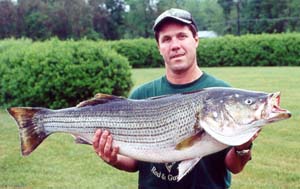 Richard Frankenfield's previous record striped bass