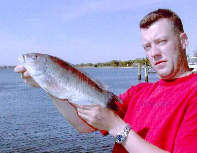 Kevin Mathiasen with record cunner